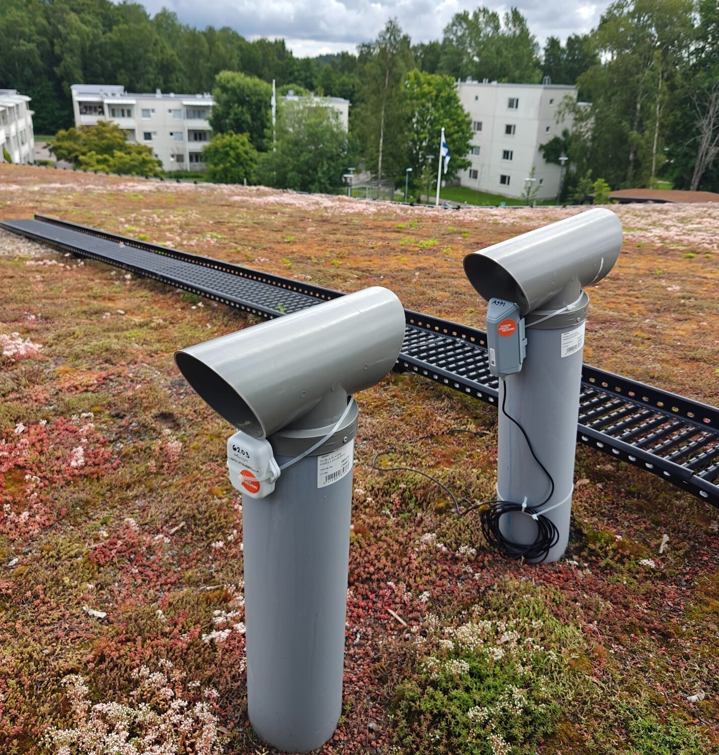 Artikkelikuva: Viherkattojen toivotut vaikutukset ja seuranta